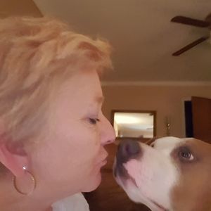 Meet your Posher, Amelia